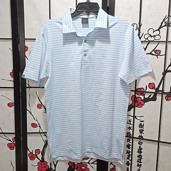 Dunning Striped Polo Shirt Size Small NWT - Picture 1 of 6
